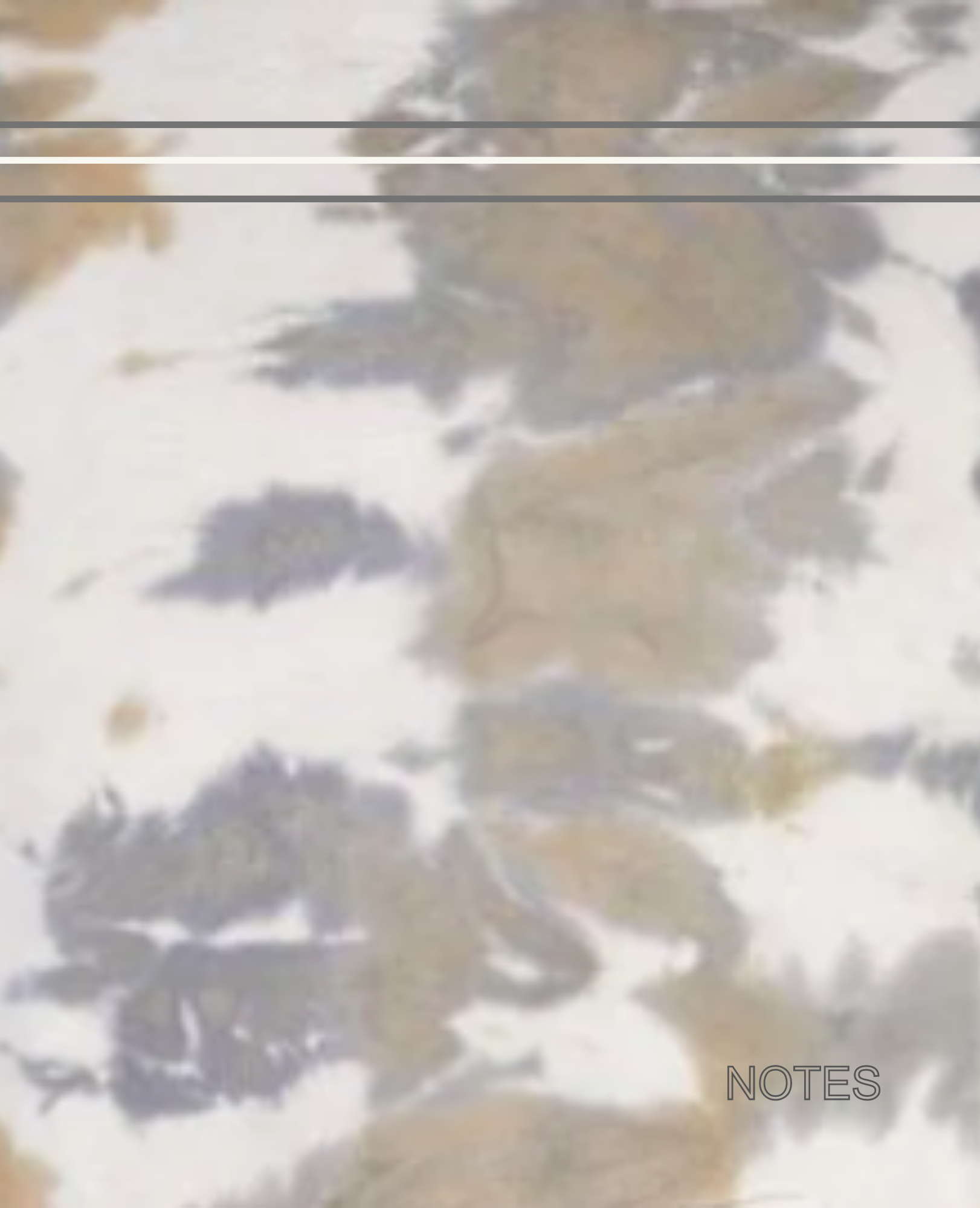 Book Cover Design 8