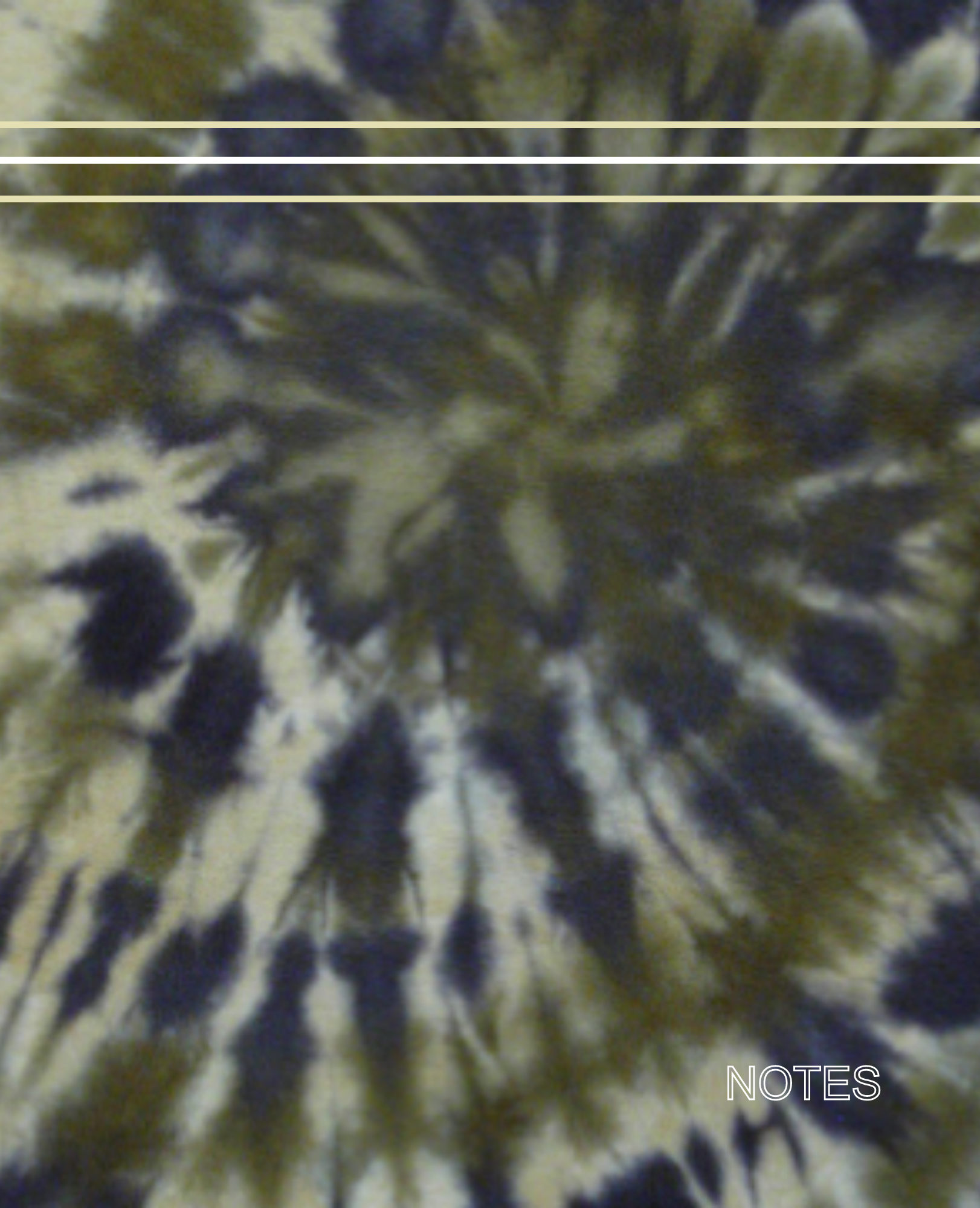 Book Cover Design 9