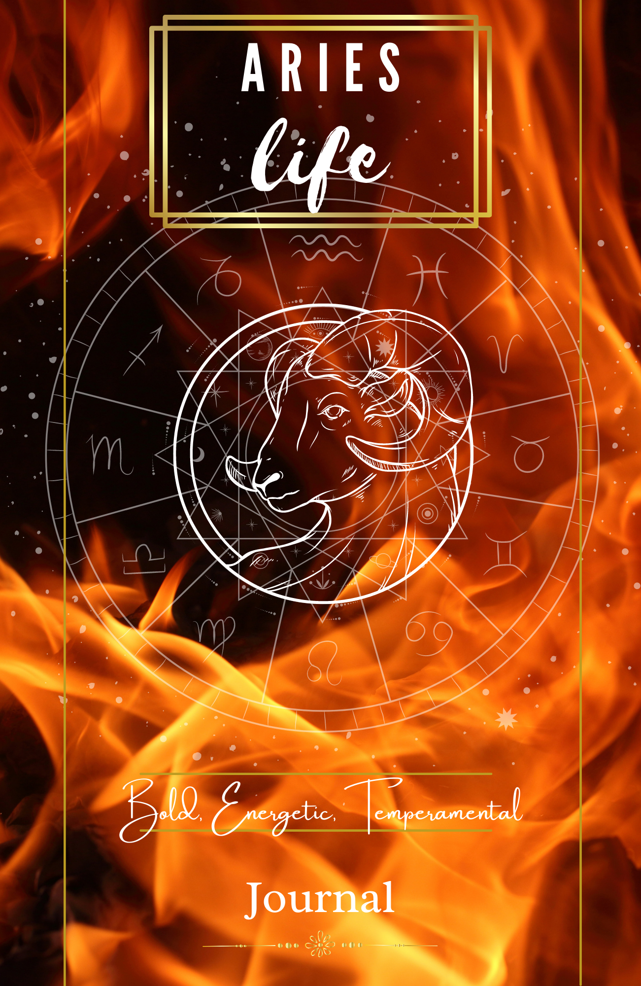 Book Cover Design 24